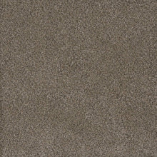 1-6200-6005-1200-a-variant-room-scene