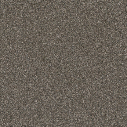 1-6200-6009-1200-a-variant-room-scene