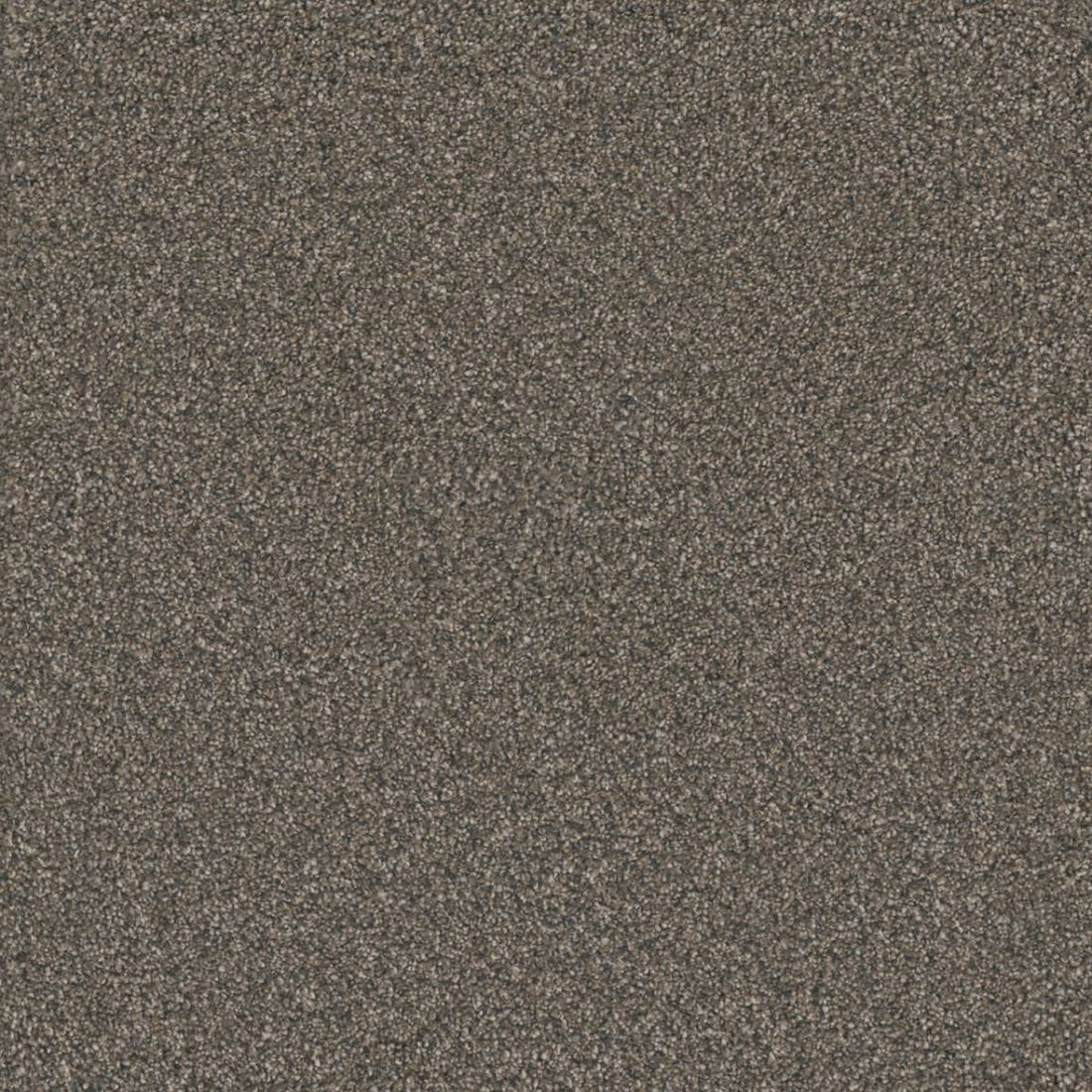 1-8200-6009-1200-a-variant-room-scene