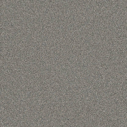 1-6200-6048-1200-a-variant-room-scene