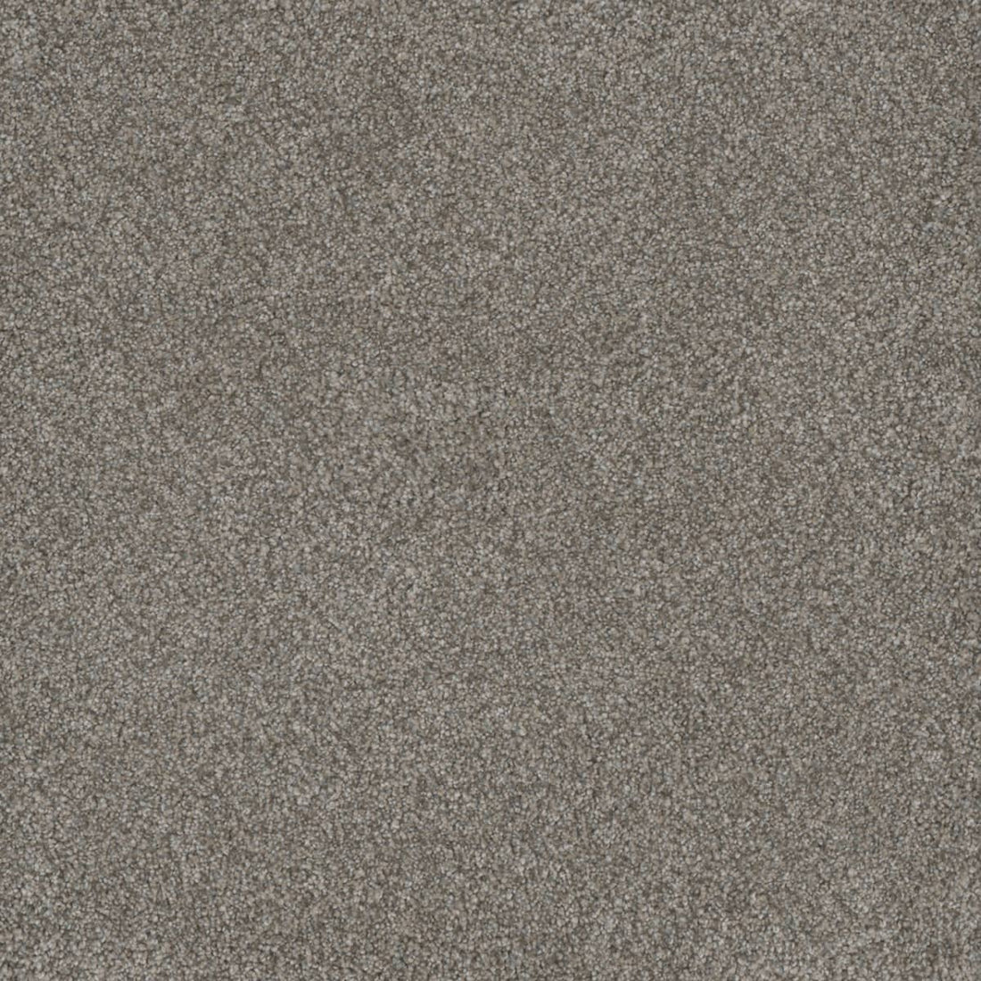 1-8200-6077-1200-a-variant-room-scene