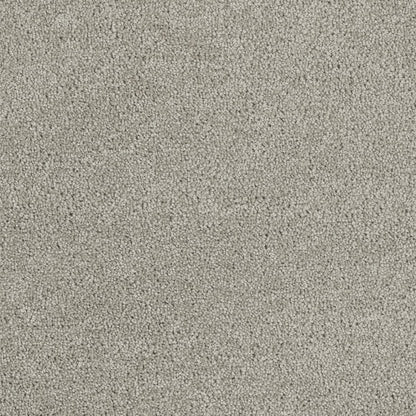 1-8232-910-1200-a-variant-room-scene