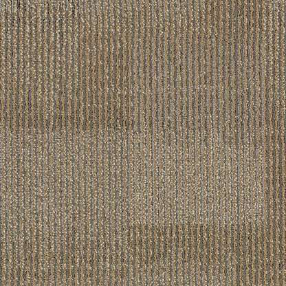 2b58-841-variant-room-scene