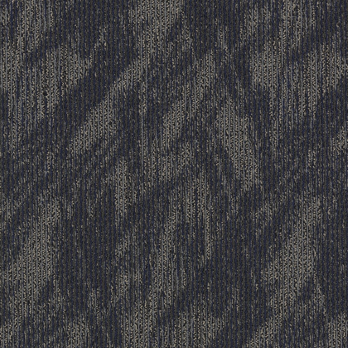 2b59-589-variant-room-scene