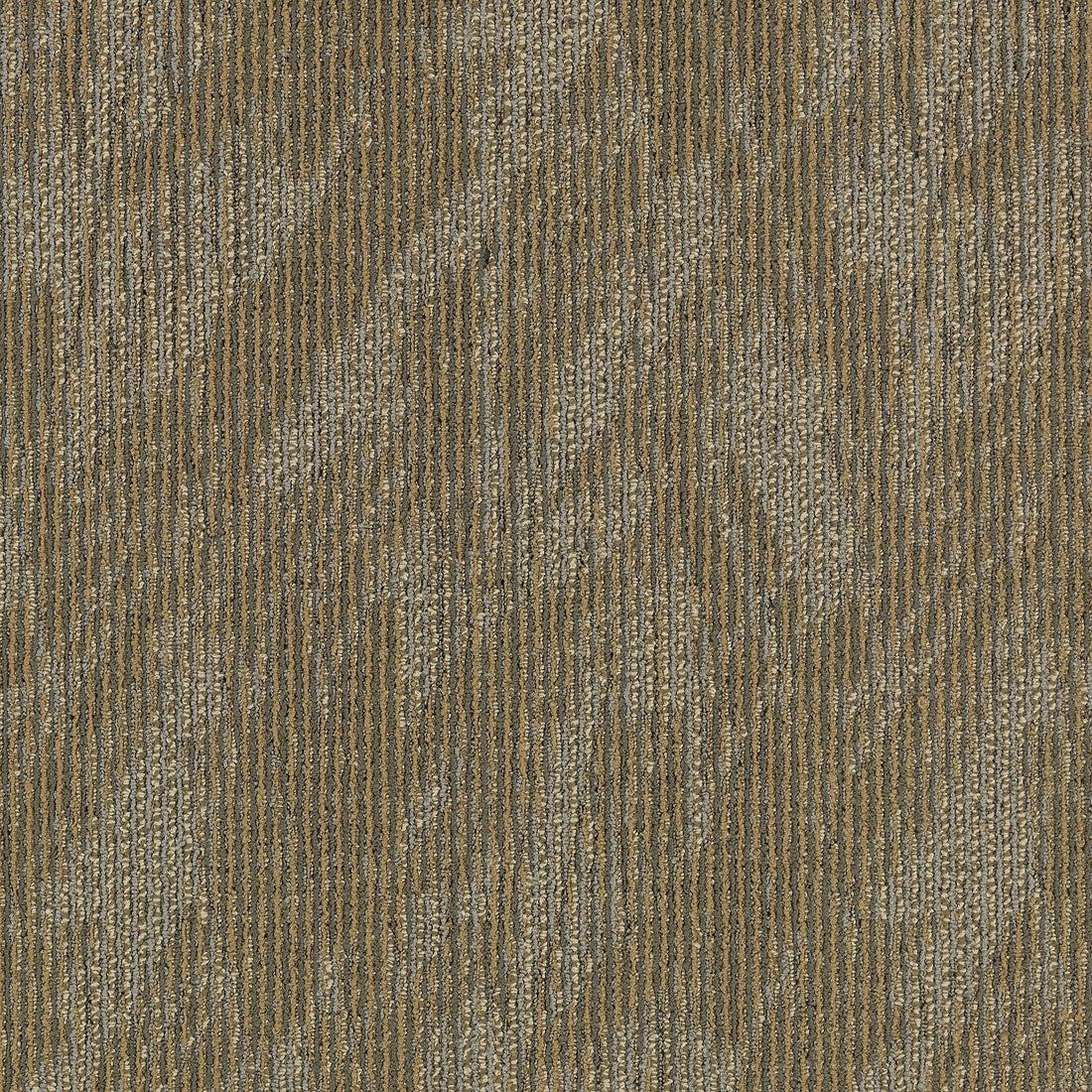 2b59-841-variant-room-scene