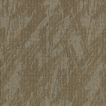 2b59-841-variant-room-scene