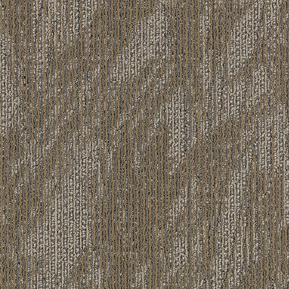 2b59-858-variant-room-scene