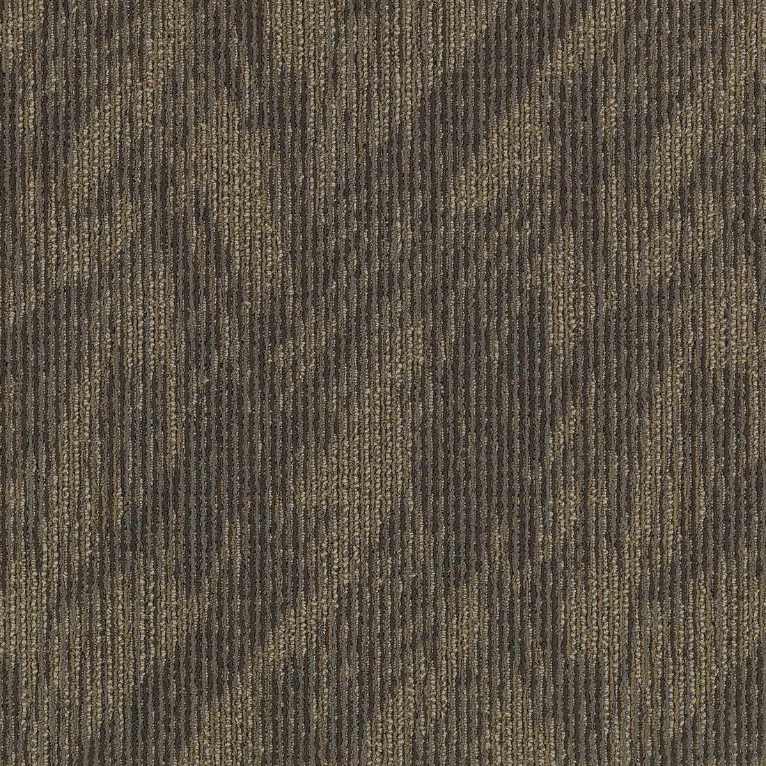 2b59-878-variant-room-scene