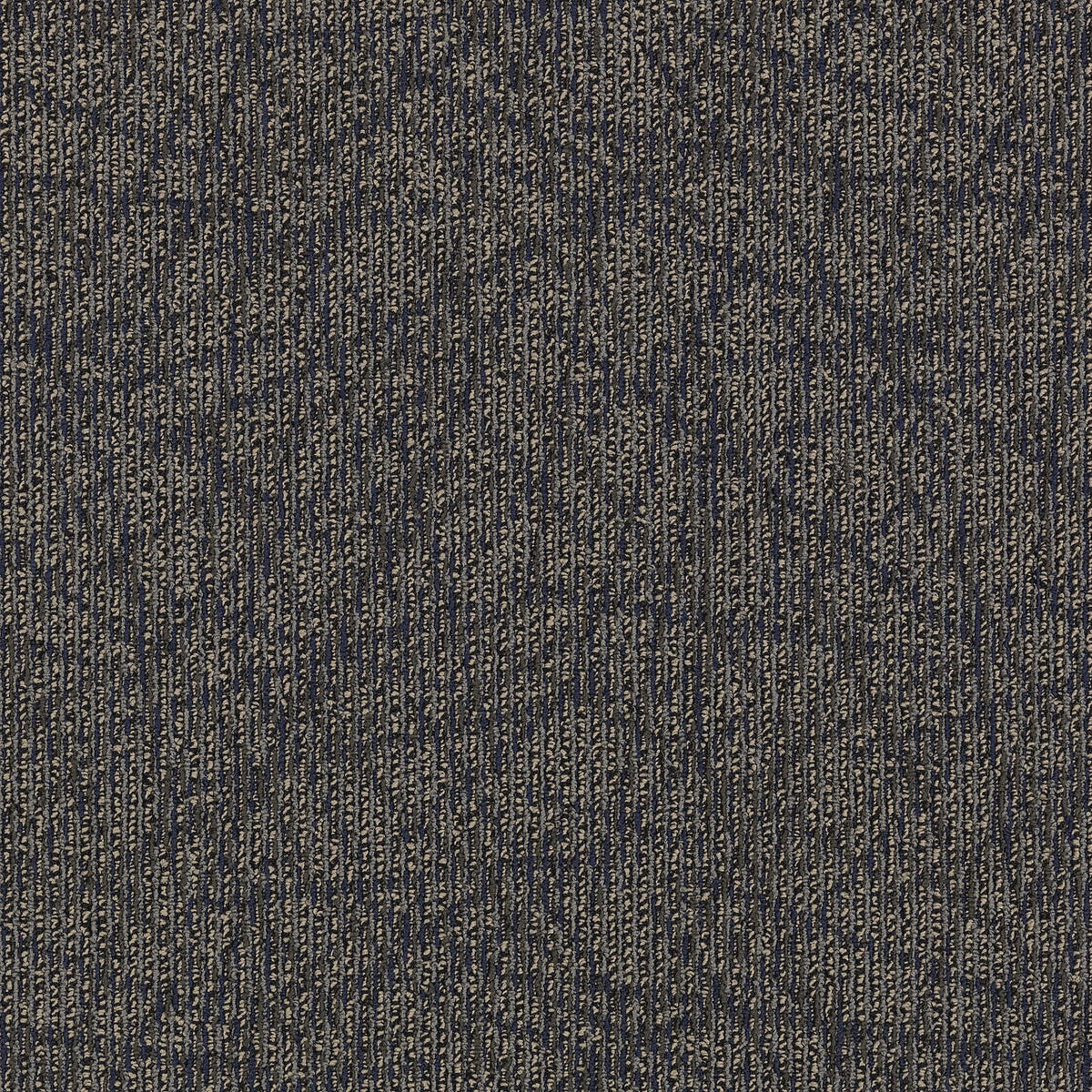 2b60-589-variant-room-scene
