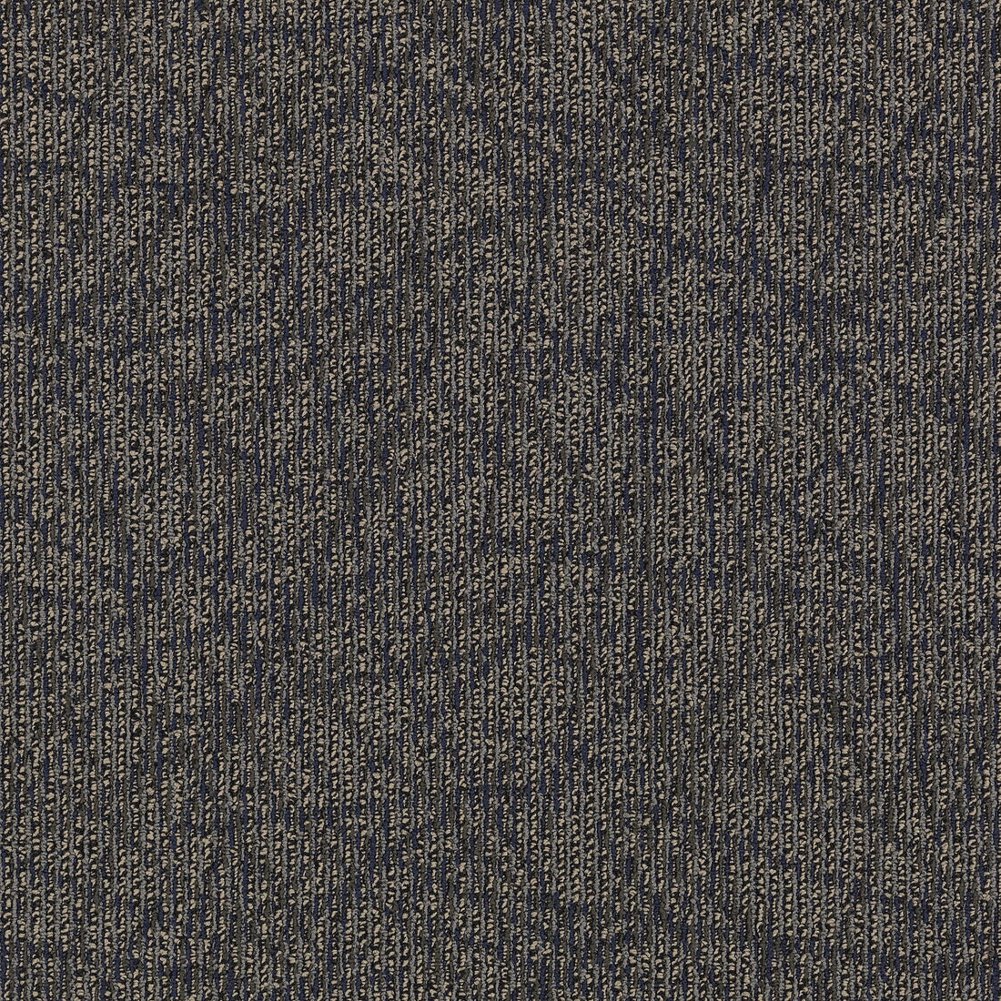 2b60-589-variant-room-scene