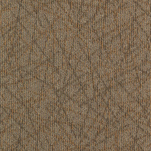 2b60-841-variant-room-scene