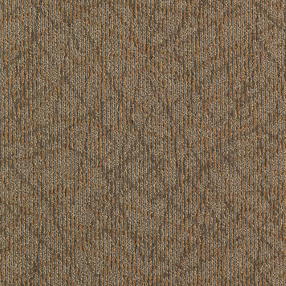 2b60-841-variant-room-scene
