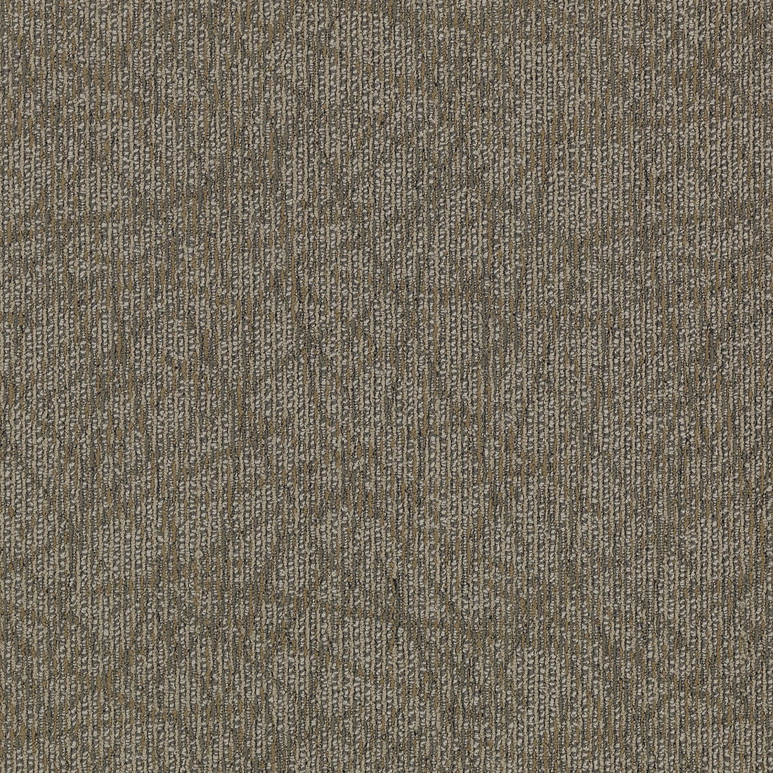 2b60-858-variant-room-scene