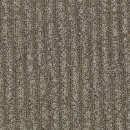 2b60-858-variant-room-scene