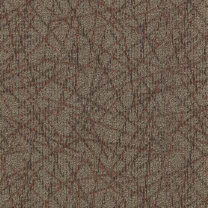 2b60-869-variant-room-scene