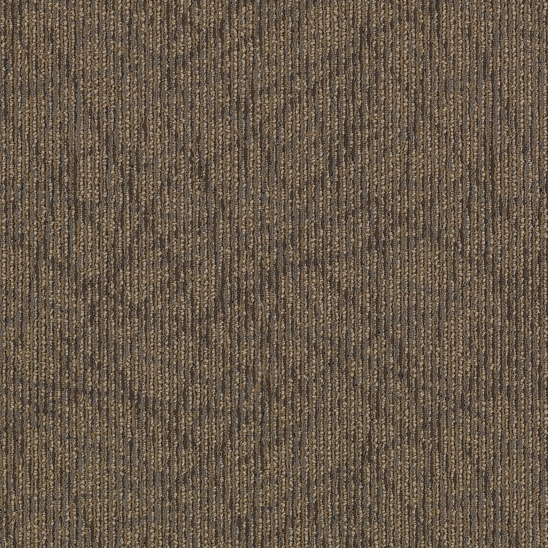 2b60-878-variant-room-scene