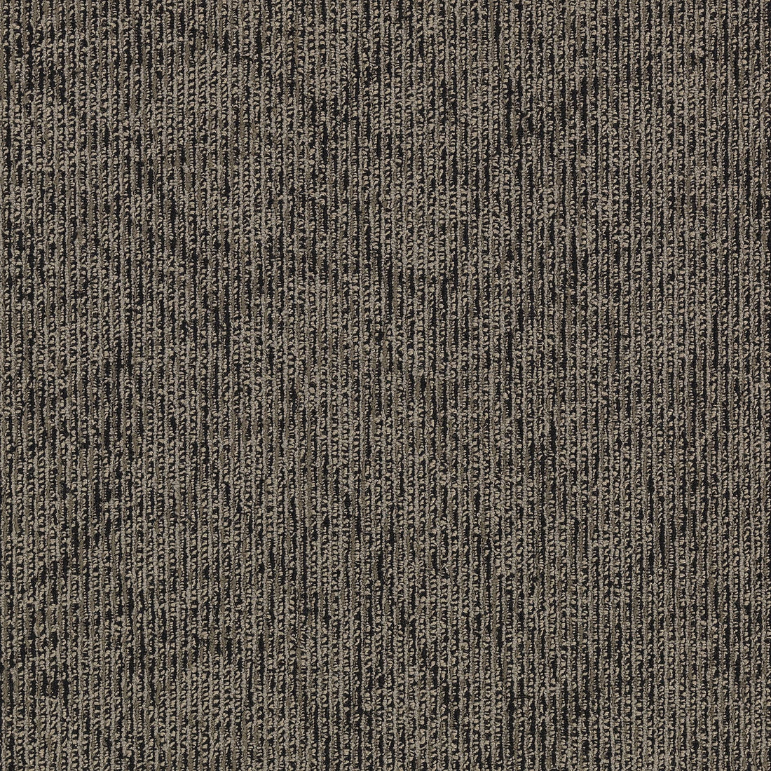 2b60-979-variant-room-scene