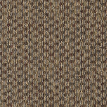 2b62-841-variant-room-scene