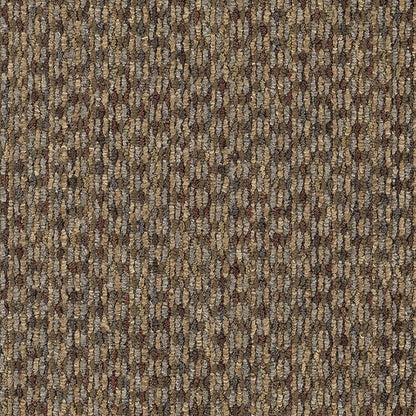 2b62-841-variant-room-scene