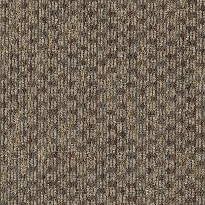 2b62-858-variant-room-scene