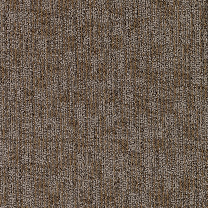 2b77-858-variant-room-scene