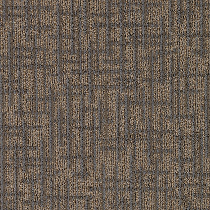 2b78-841-variant-room-scene