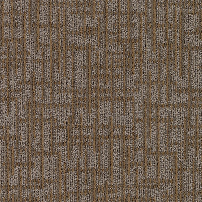 2b78-858-variant-room-scene