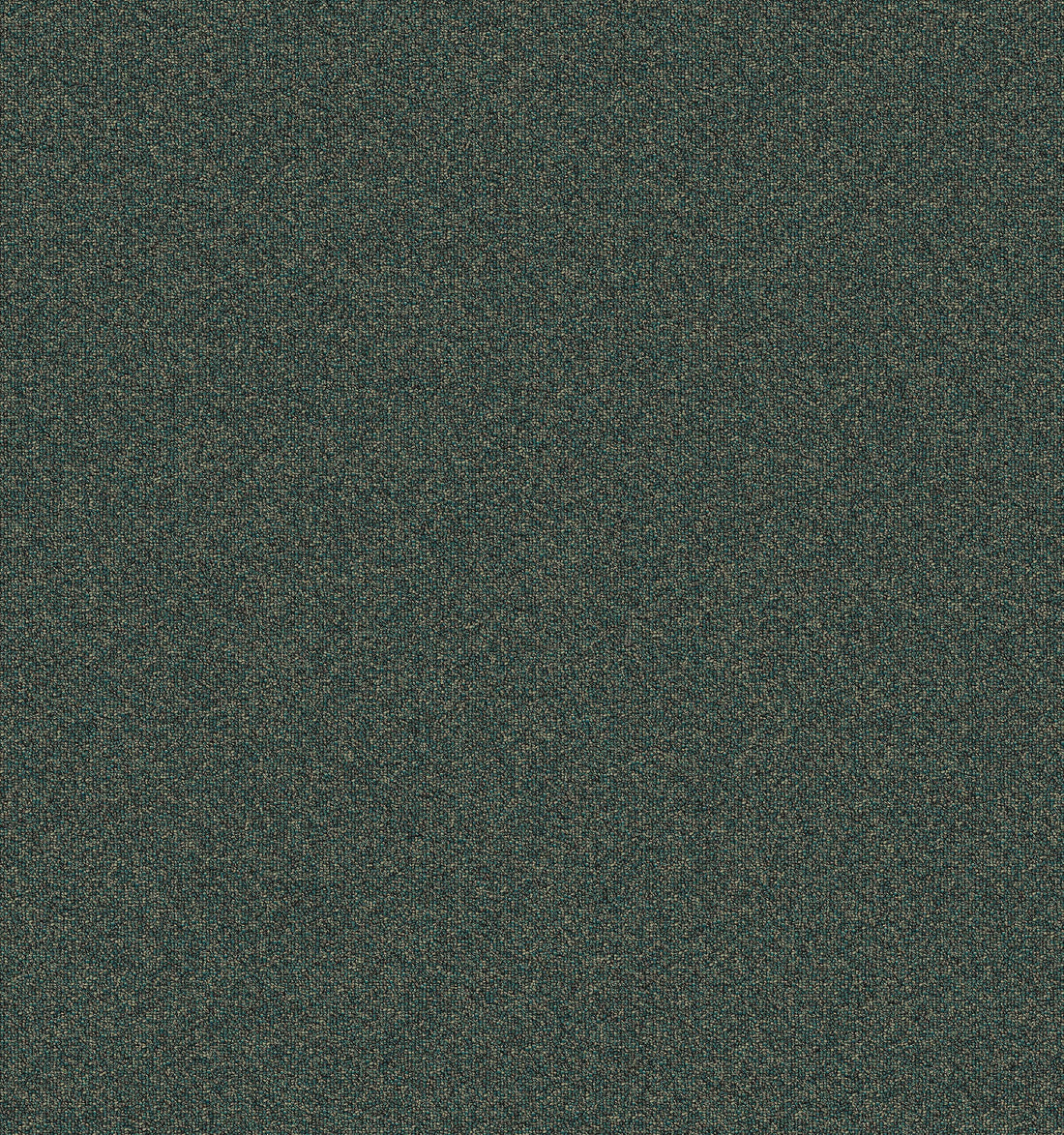 2b105-685-variant-room-scene
