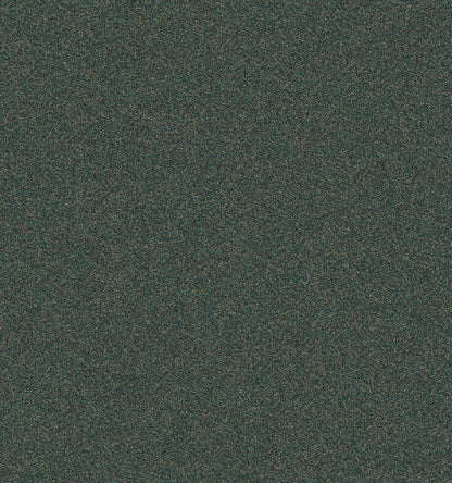 2b105-685-variant-room-scene