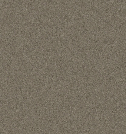 2b105-788-variant-room-scene