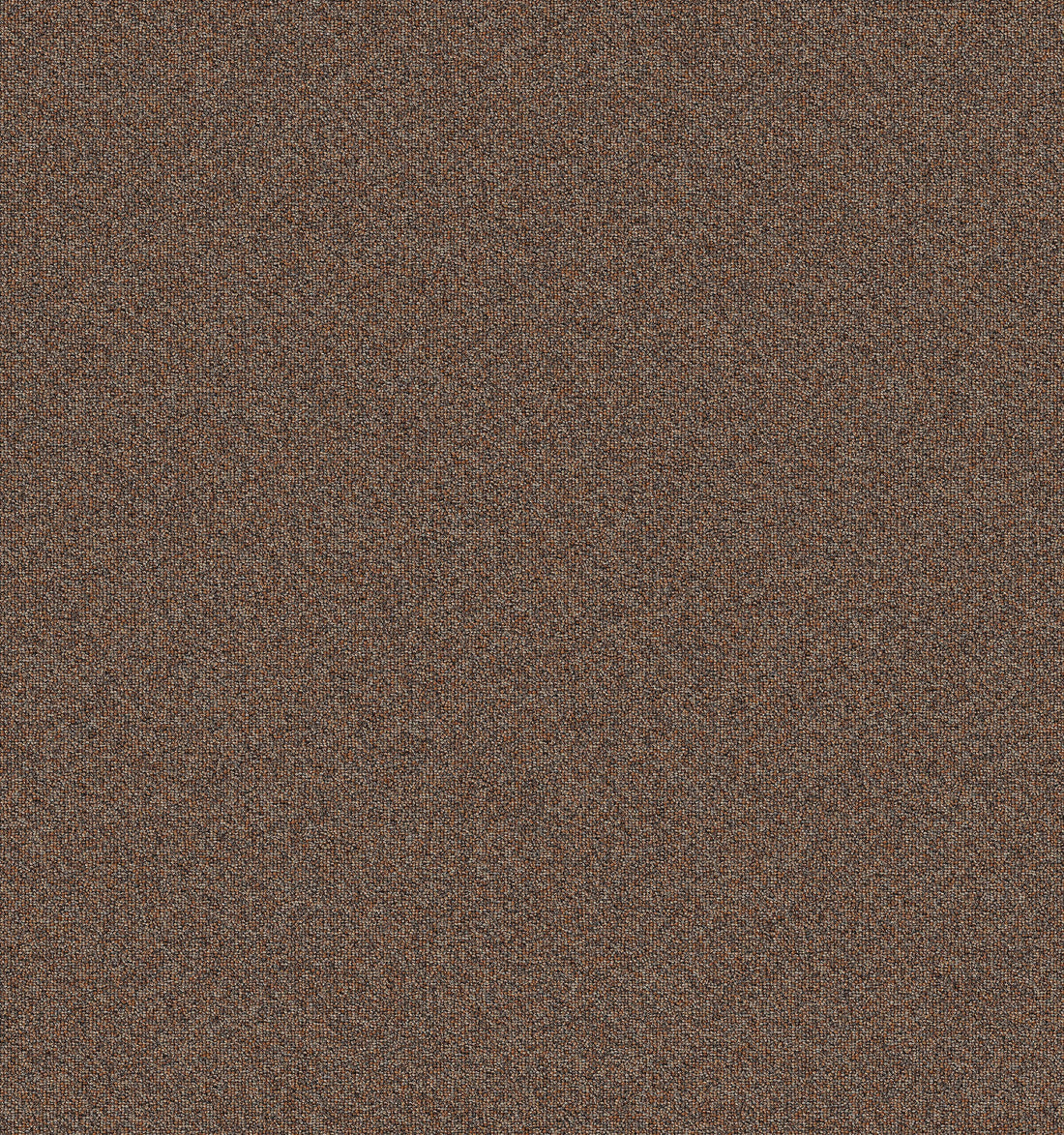 2b105-852-variant-room-scene