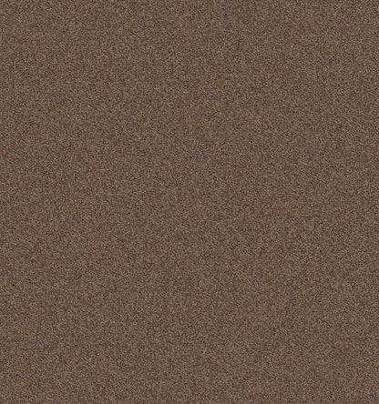 2b105-852-variant-room-scene