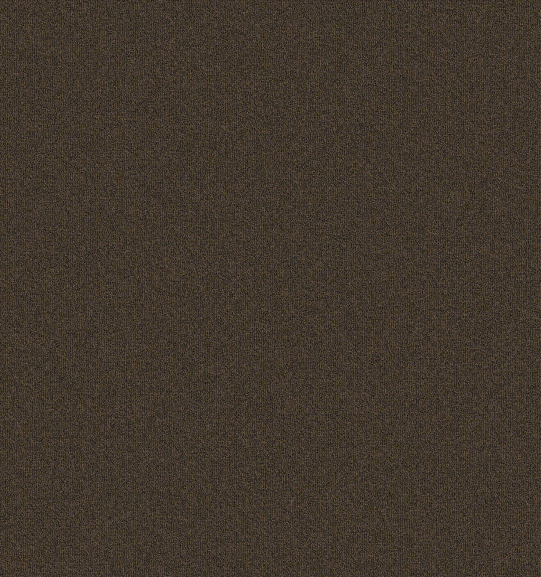2b105-889-variant-room-scene
