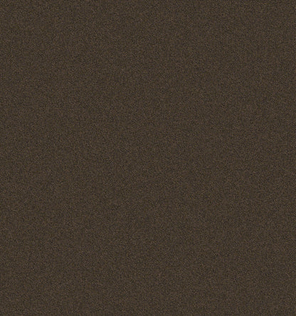 2b105-889-variant-room-scene