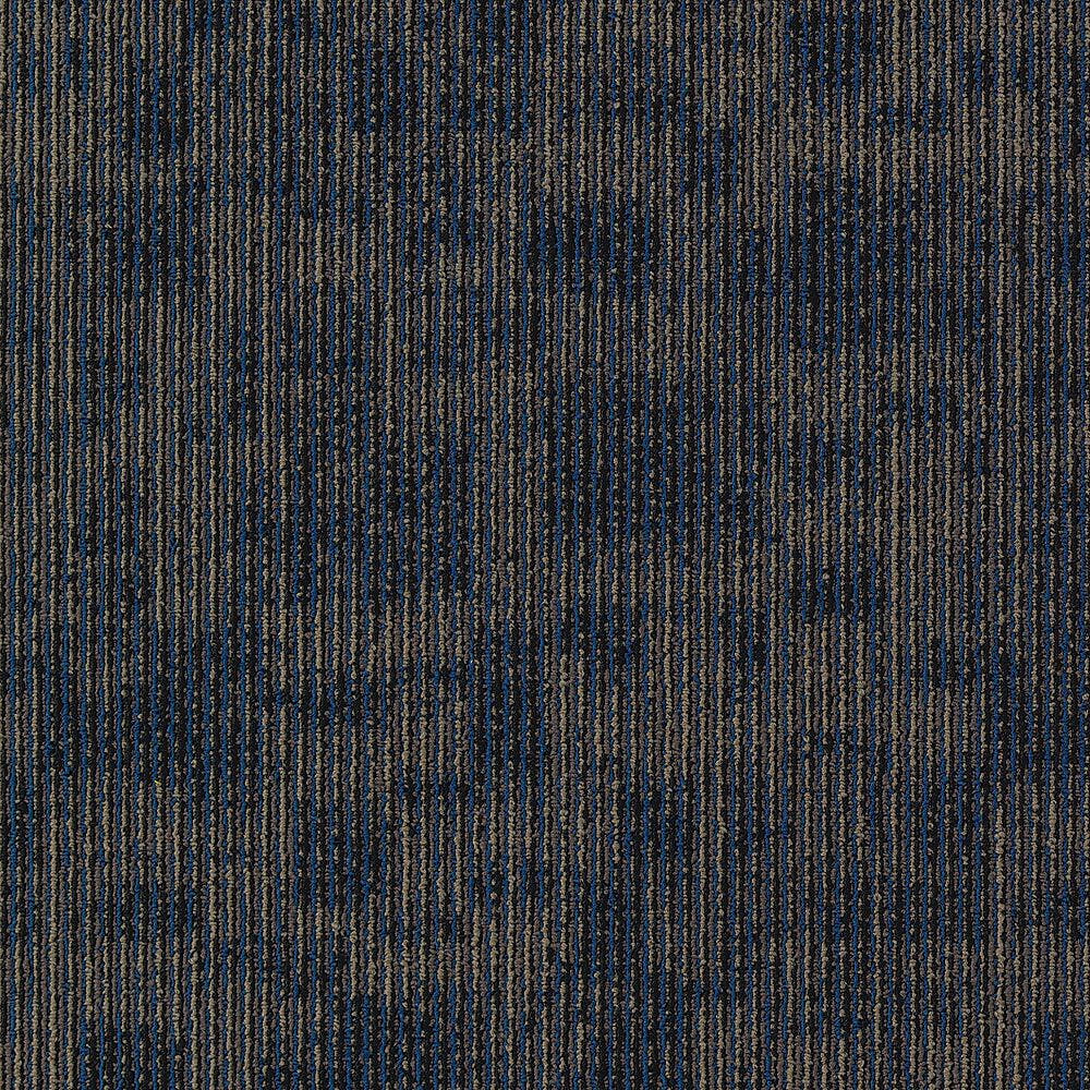 2b119-568-variant-room-scene