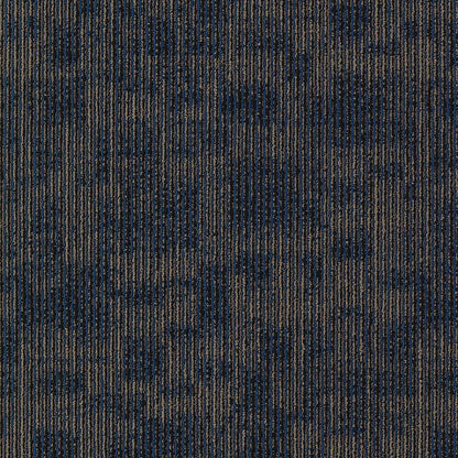 2b119-568-variant-room-scene