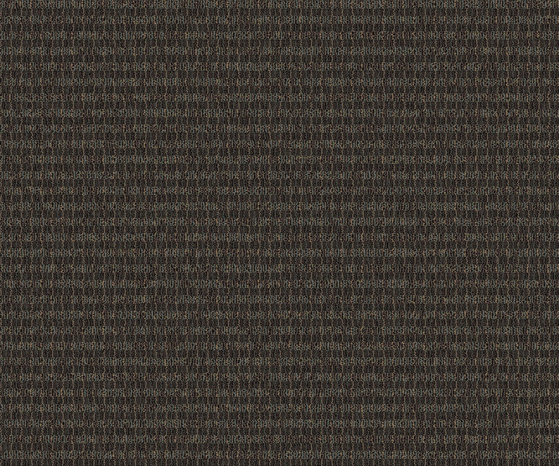 2b126-883-variant-room-scene