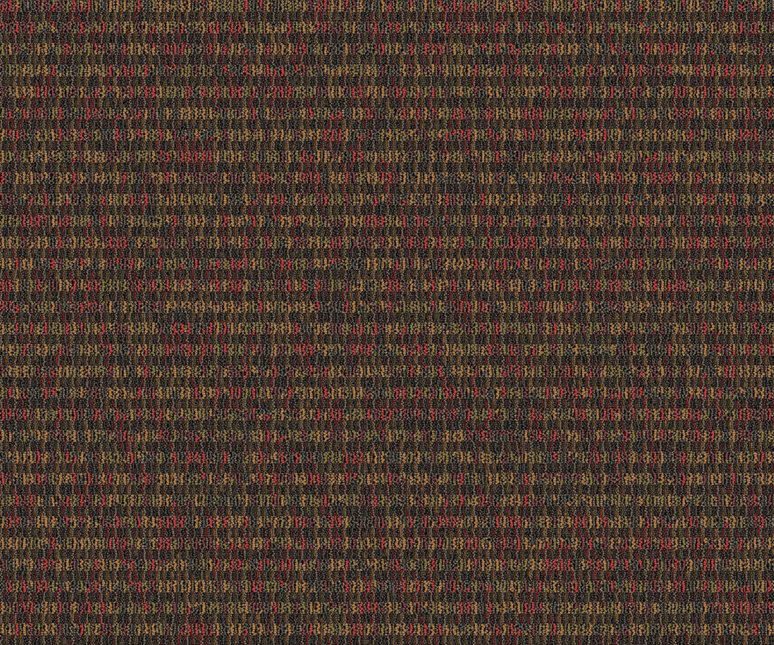 2b126-884-variant-room-scene