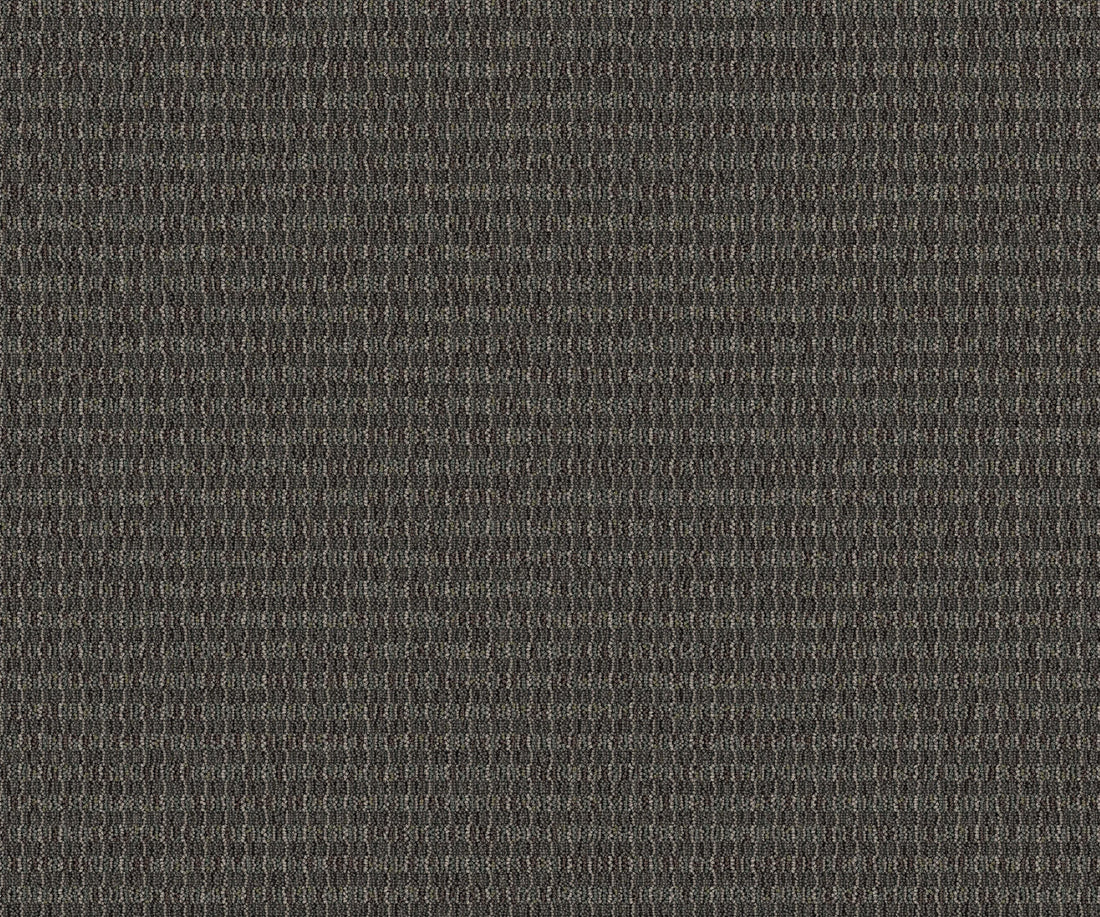 2b126-983-variant-room-scene