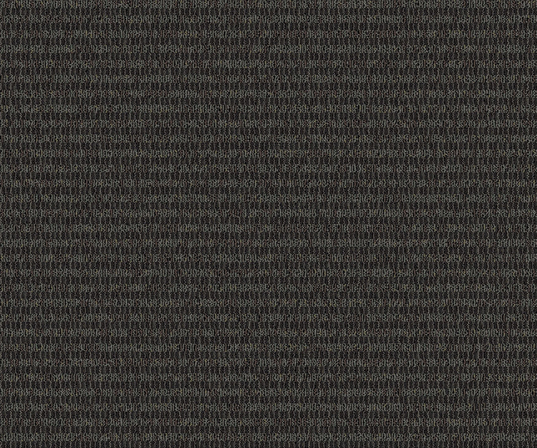 2b126-999-variant-room-scene