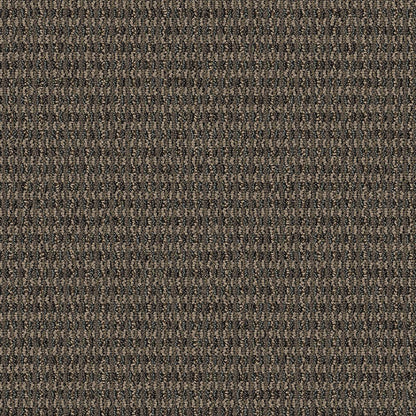 2b128-859-variant-room-scene