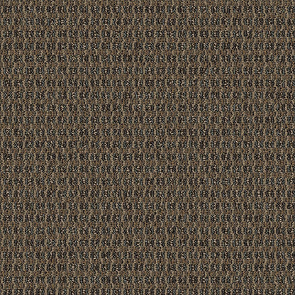 2b128-862-variant-room-scene