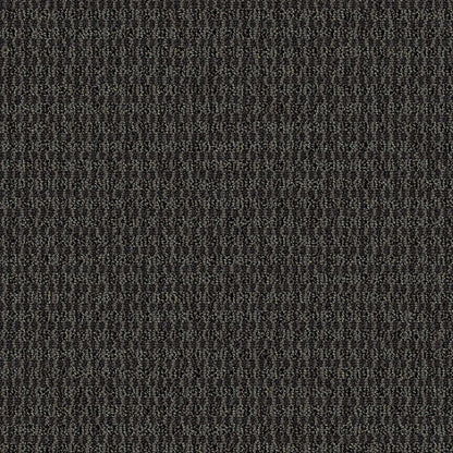 2b128-999-variant-room-scene