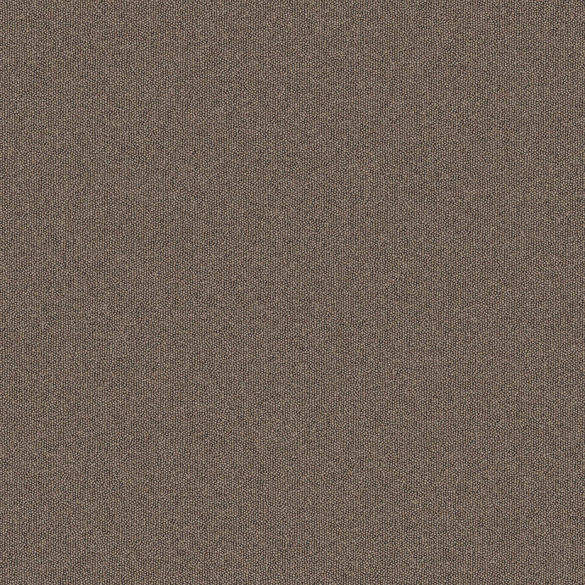 2b134-748-variant-room-scene