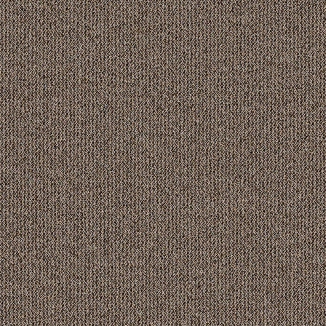 2b134-748-variant-room-scene