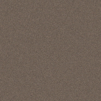 2b134-748-variant-room-scene
