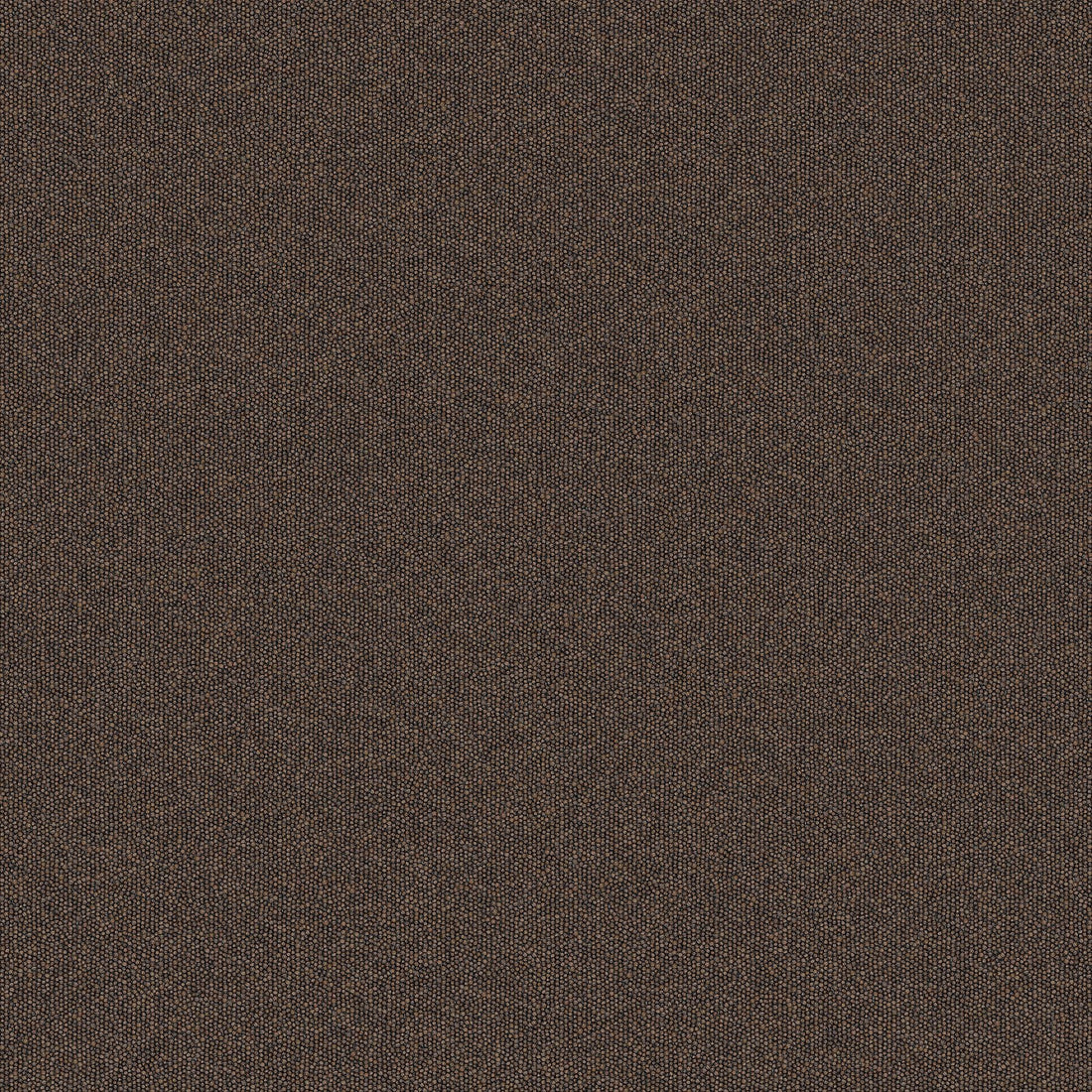 2b134-869-variant-room-scene