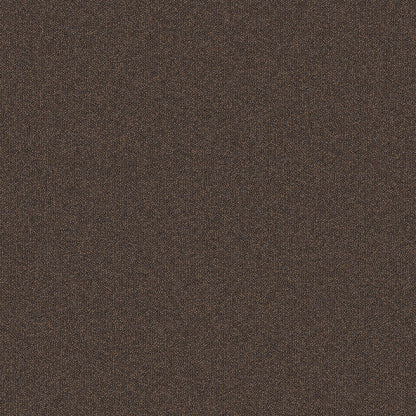 2b134-869-variant-room-scene