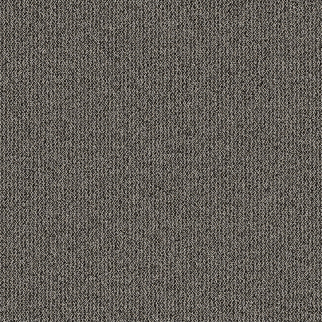 2b134-959-variant-room-scene