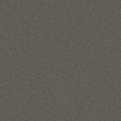 2b134-959-variant-room-scene